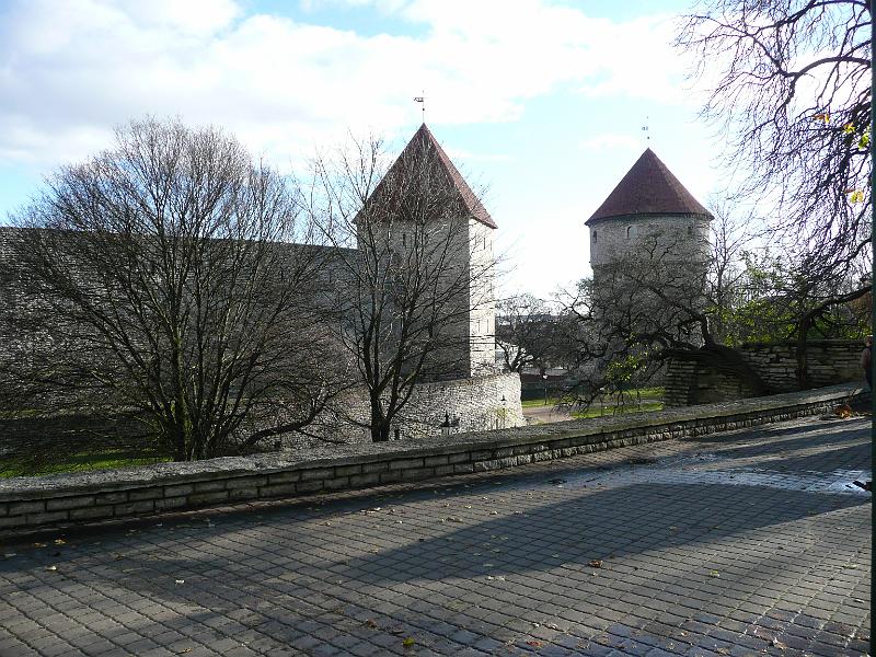 P1030229.JPG