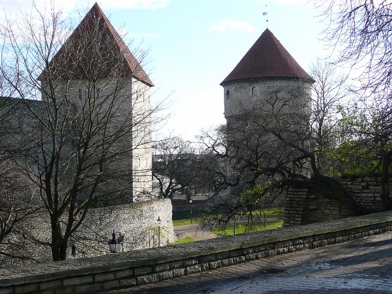 P1030230.JPG