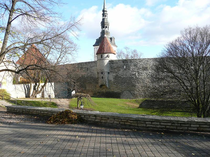 P1030231.JPG