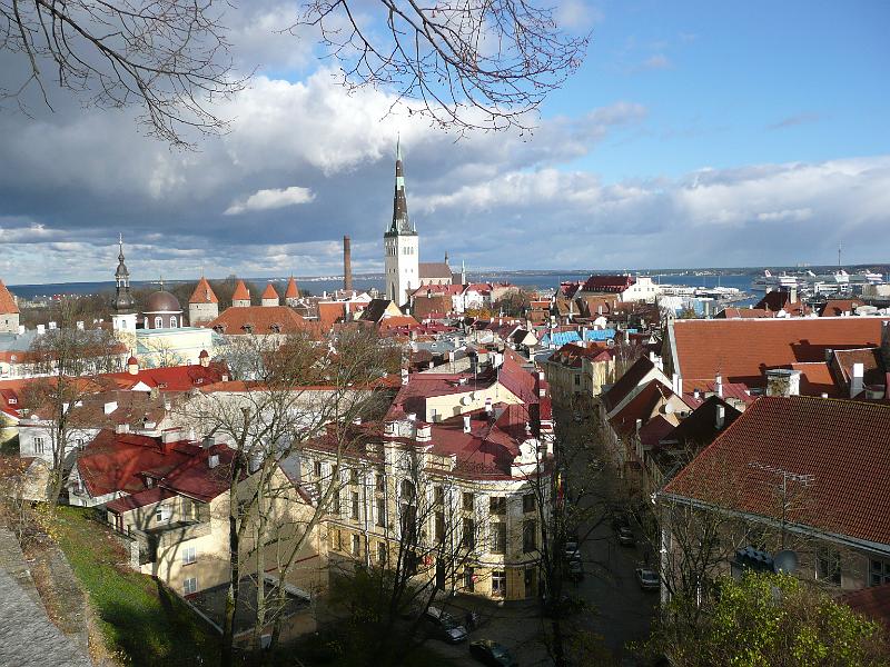P1030238.JPG