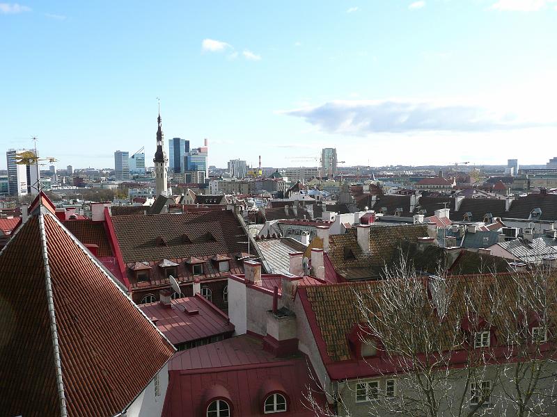 P1030239.JPG