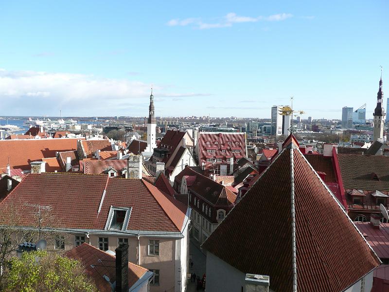 P1030240.JPG