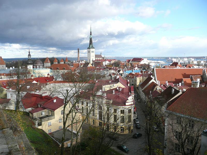 P1030245.JPG